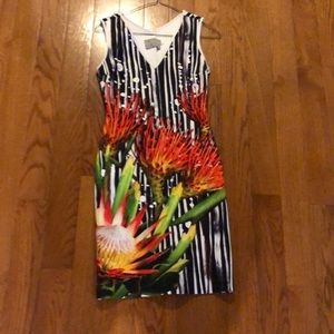 Clover Canyon Dress